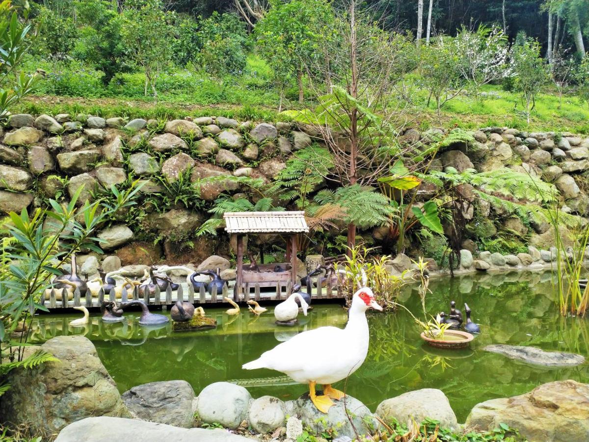 Yanzitao Pottery Coffee B&B Nanzhuang Bilik gambar